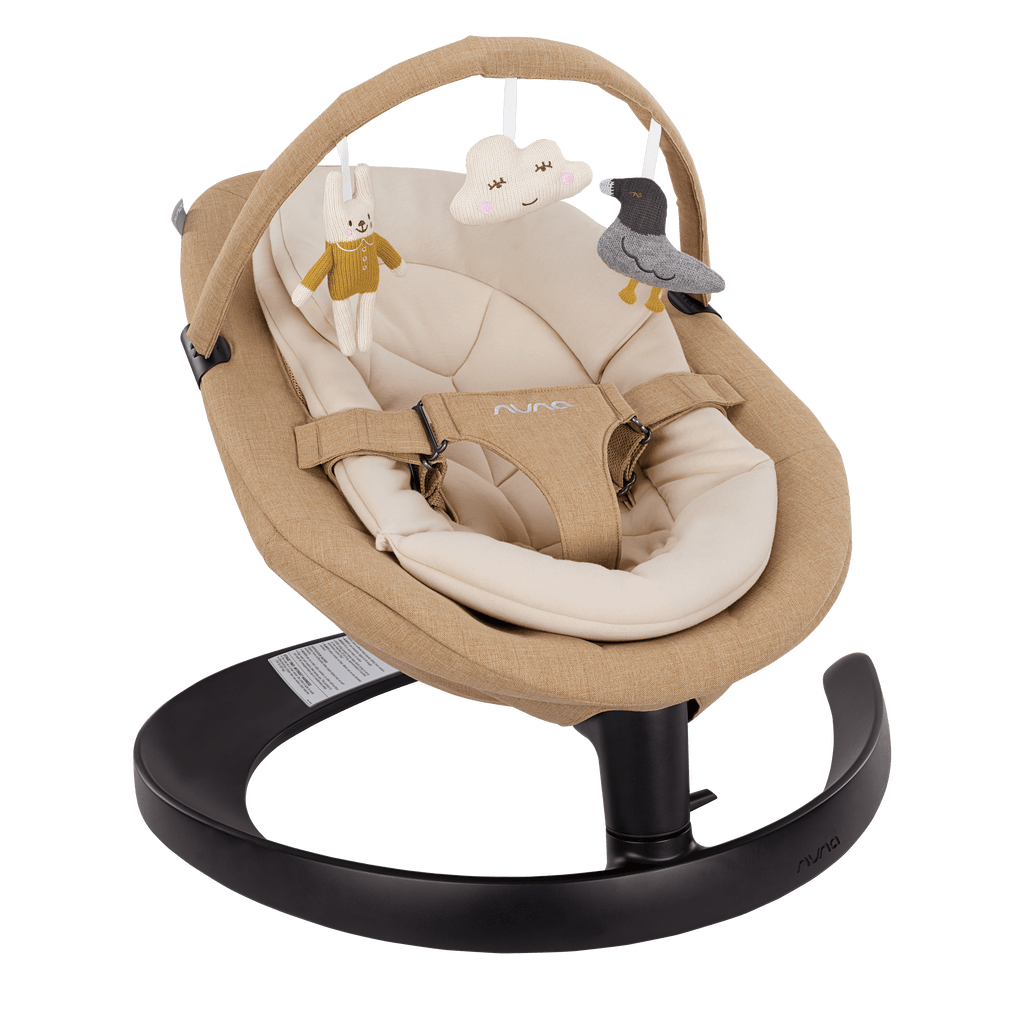 Nuna best sale swing chair