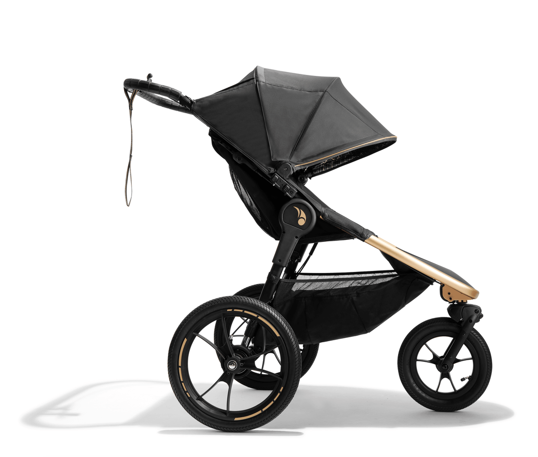 Baby jogger elite 2019 online