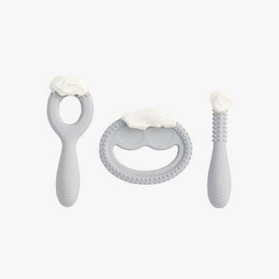 Oral Development Tools - Pewter